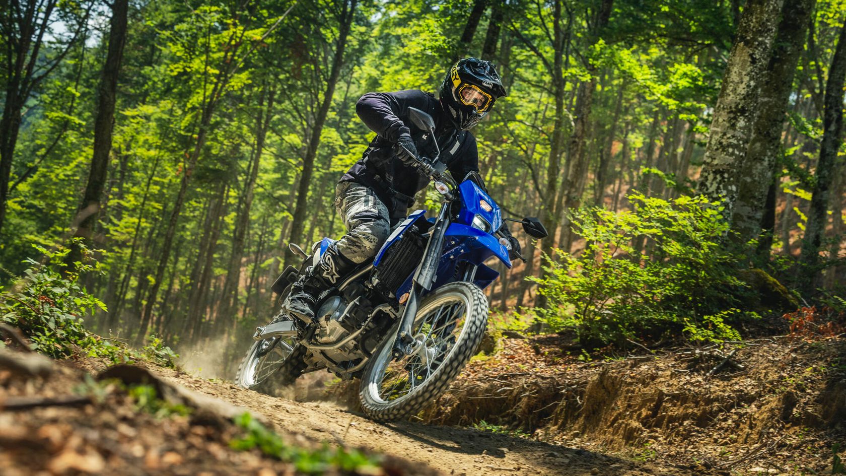 Yamaha WR125R 2026 en forêt Yamaha WR125R 2026 en forêt